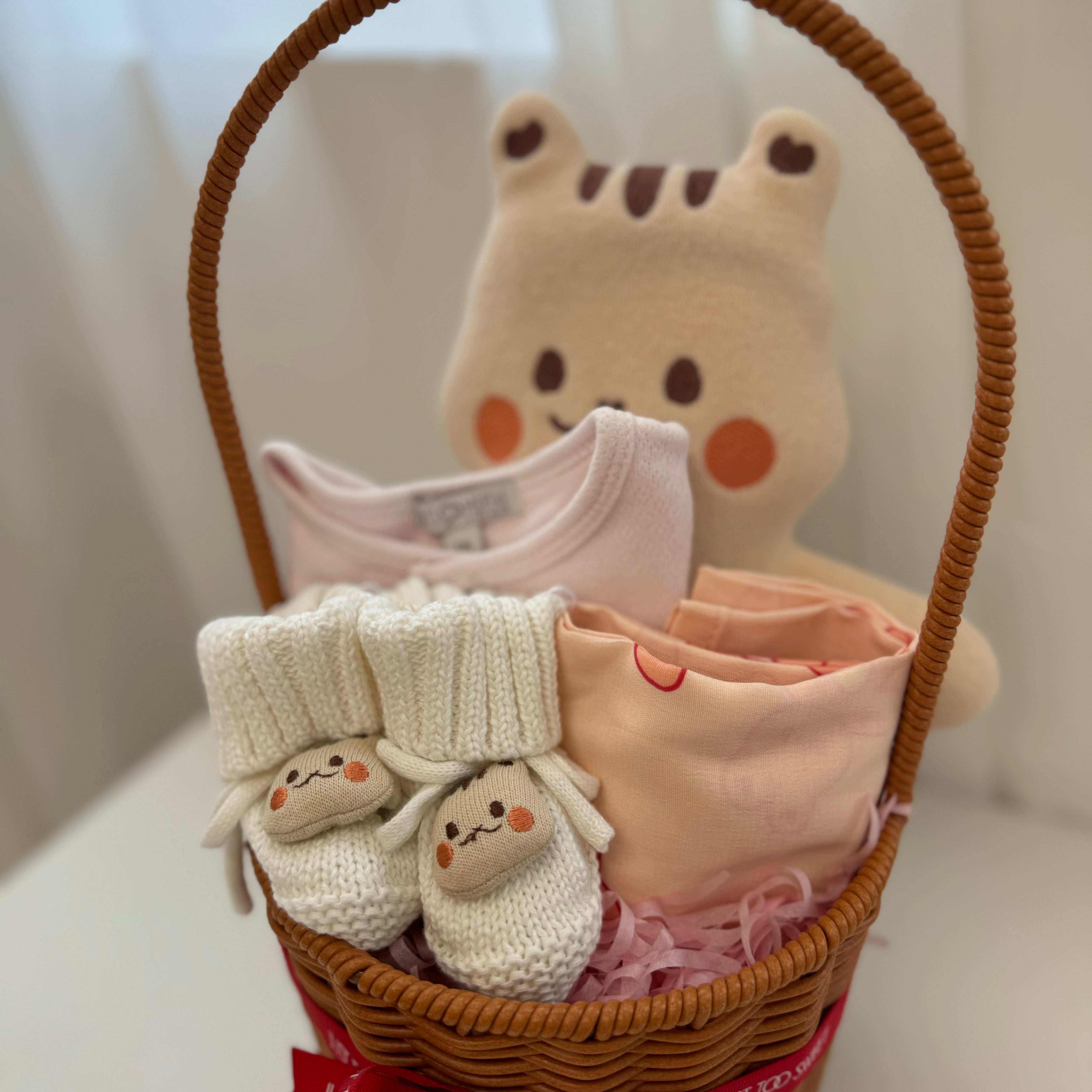 [DTD Limited Edition] Baby Basket Hamper | Pagie