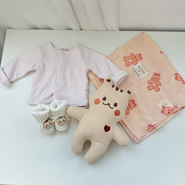 [DTD Limited Edition] Baby Basket Hamper | Pagie