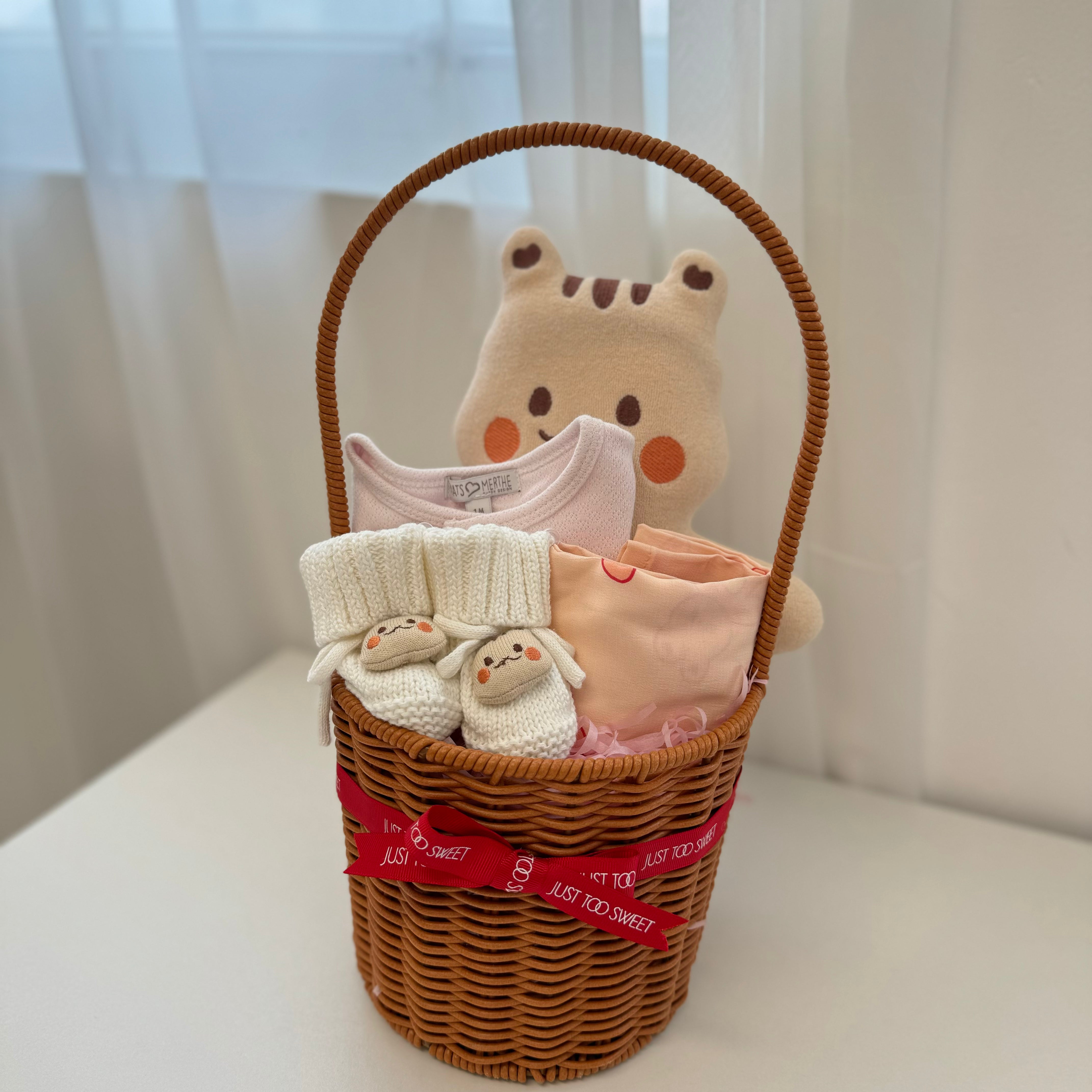 [DTD Limited Edition] Baby Basket Hamper | Pagie