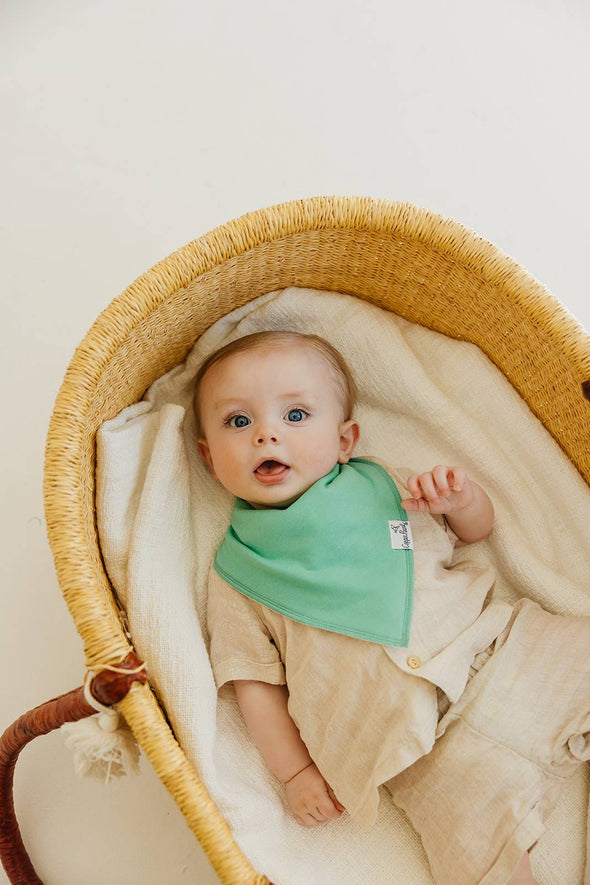 Organic Baby Bandana Bibs Set | Veggies (4-pack)