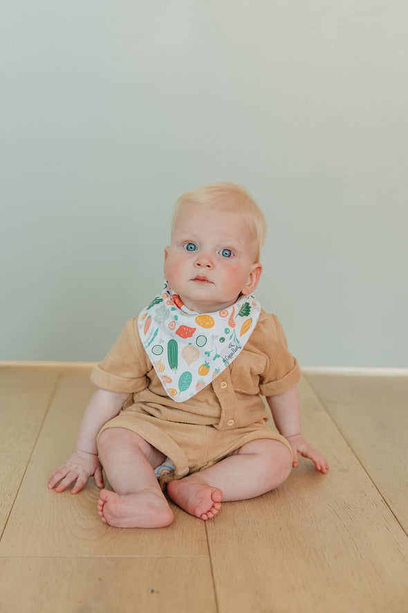 Organic Baby Bandana Bibs Set | Veggies (4-pack)