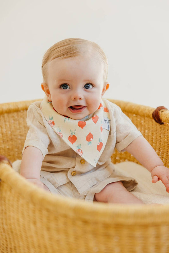 Organic Baby Bandana Bibs Set | Veggies (4-pack)