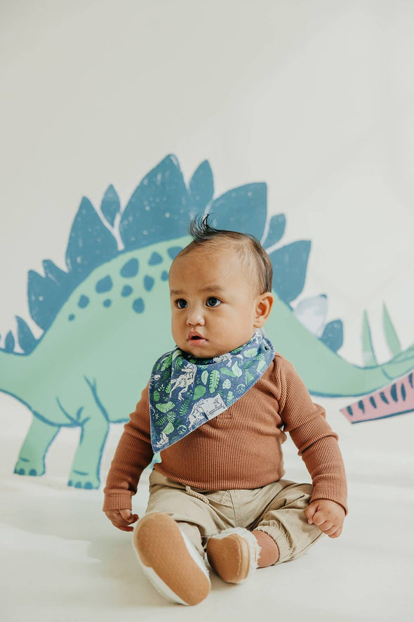 Organic Baby Bandana Bibs Set | Jurassic Park (4-pack)