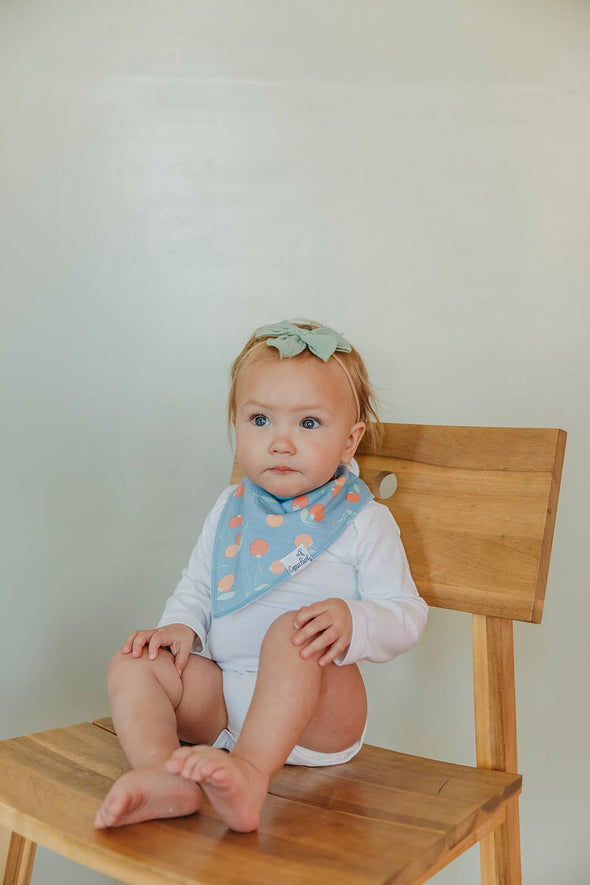 Organic Baby Bandana Bibs Set | Clementine (4-pack)