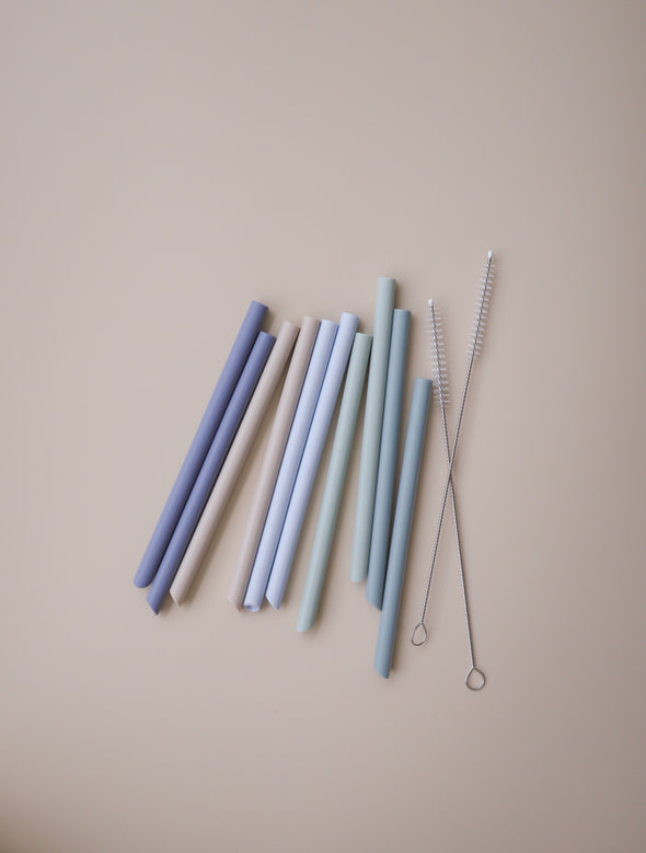 Silicone Straws | Ocean [Pack of 10]