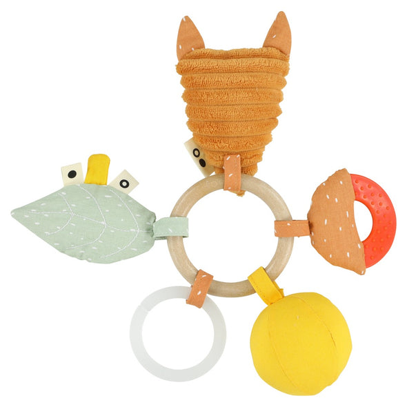 Activity Ring | Mr. Fox