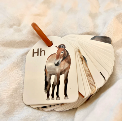 Ringed Alphabet Flash Cards | Animal